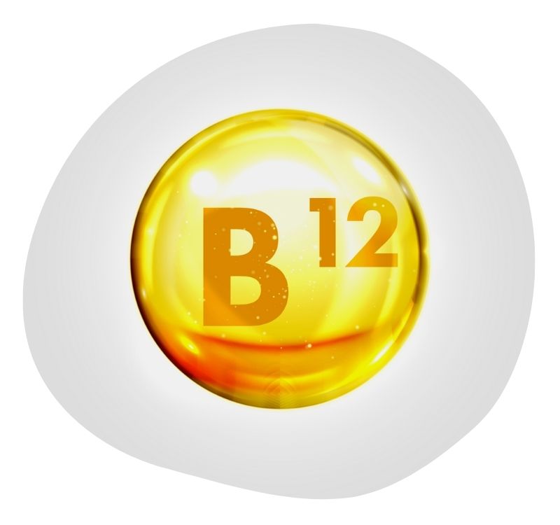 Biovancia - Actif Vitamine B12 1