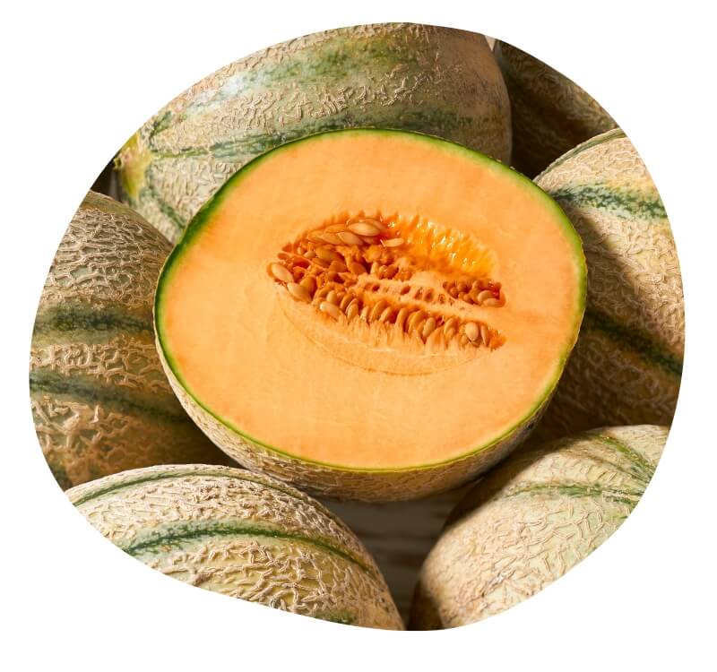 Biovancia Santé - Melon ULT