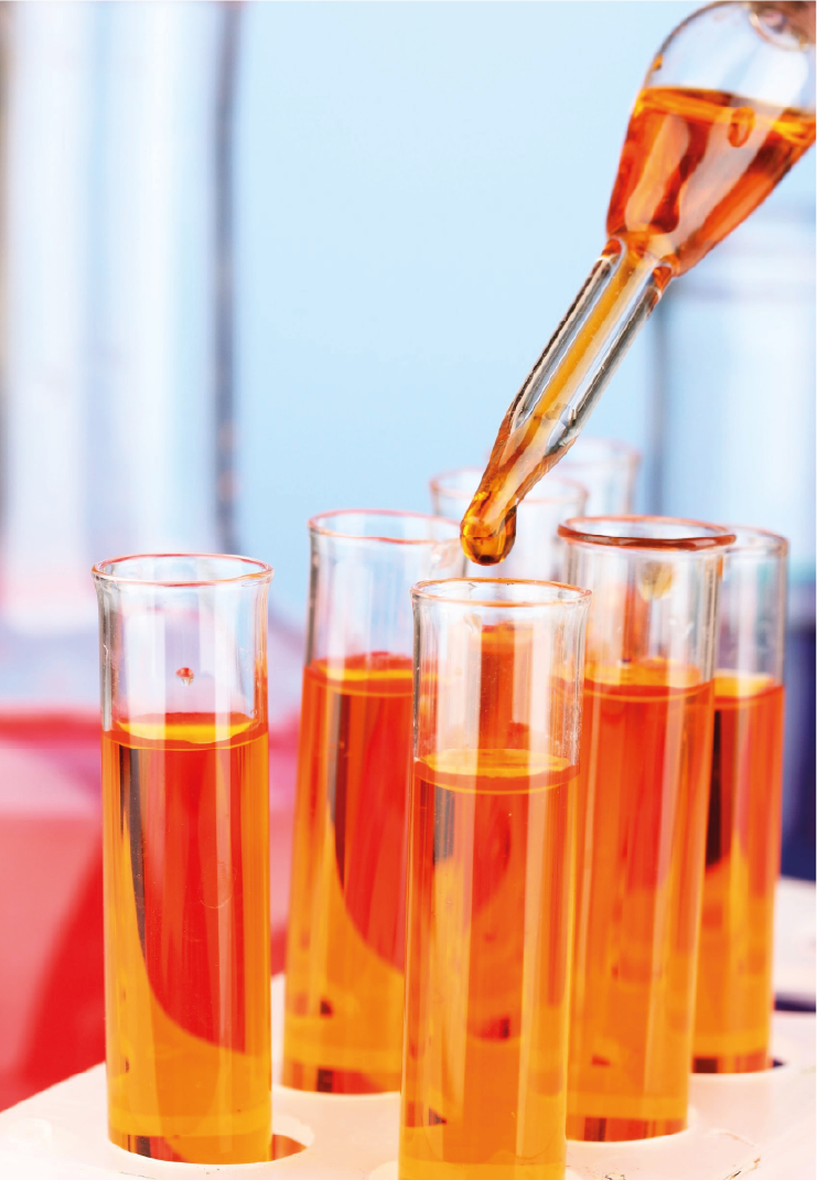 Quand la science et la nature s’unissent au service de votre énergie